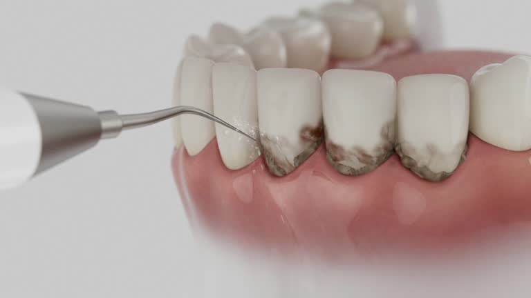 Reliable Dental contractor in Lochearn, MD by Dentist Open Now